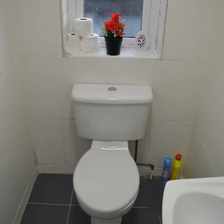 The Comfy * سوردْسْ