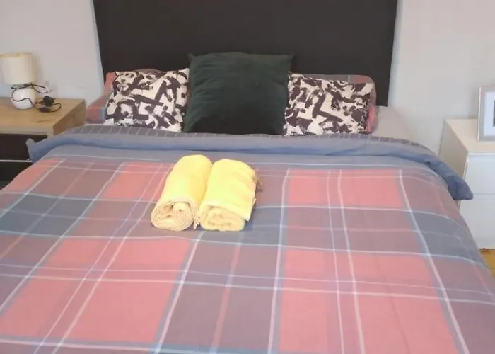 The Comfy *