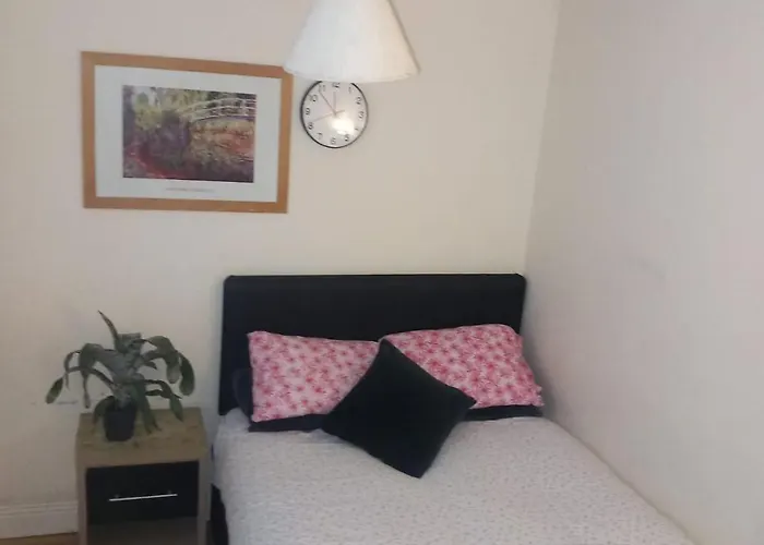 The Comfy ゲストハウス