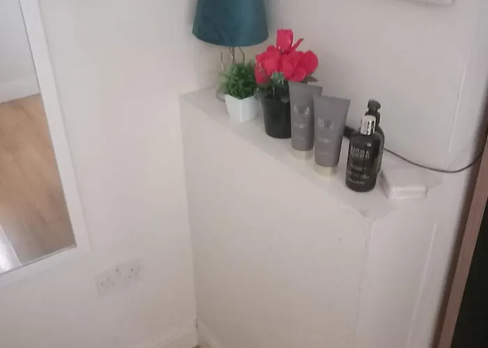 ゲストハウス The Comfy スウォーズ