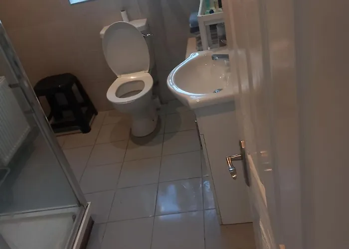 ゲストハウス The Comfy スウォーズ