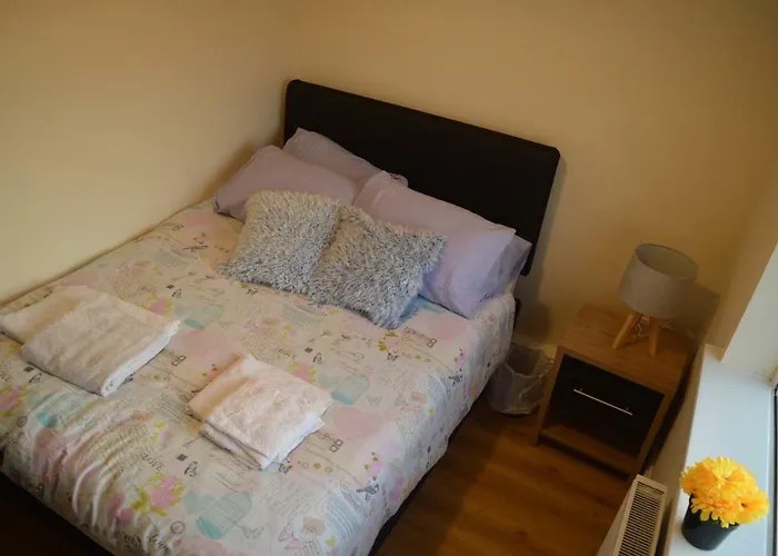 The Comfy * スウォーズ