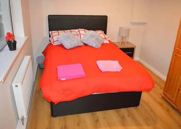 ゲストハウス The Comfy *