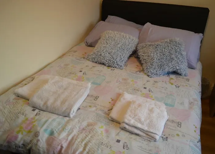 Pensión The Comfy