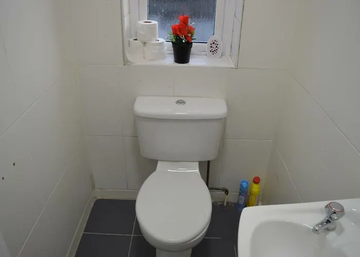 The Comfy * スウォーズ