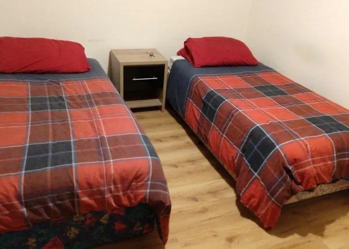 ゲストハウス The Comfy スウォーズ