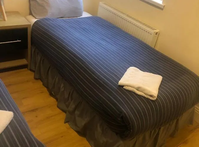 The Comfy ゲストハウス *