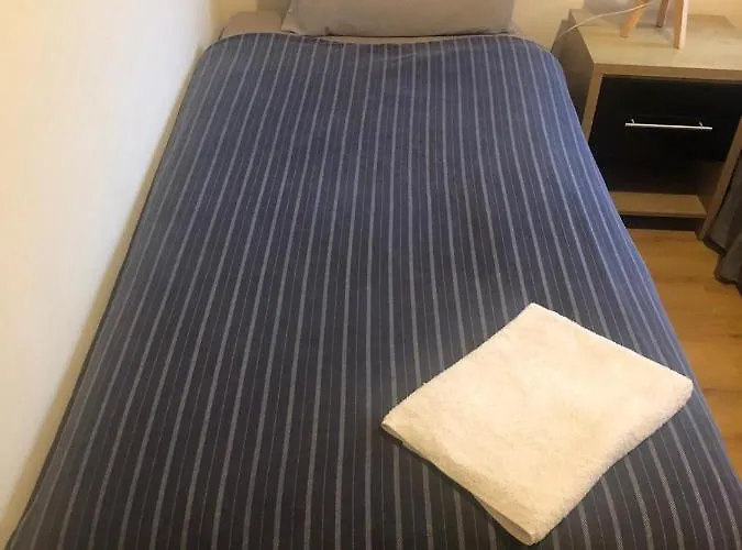 Pensión The Comfy *